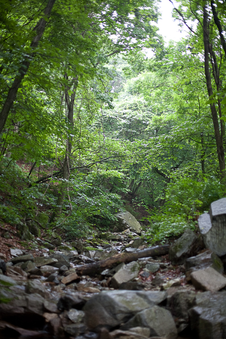 1358336068_20100711_5166.jpg