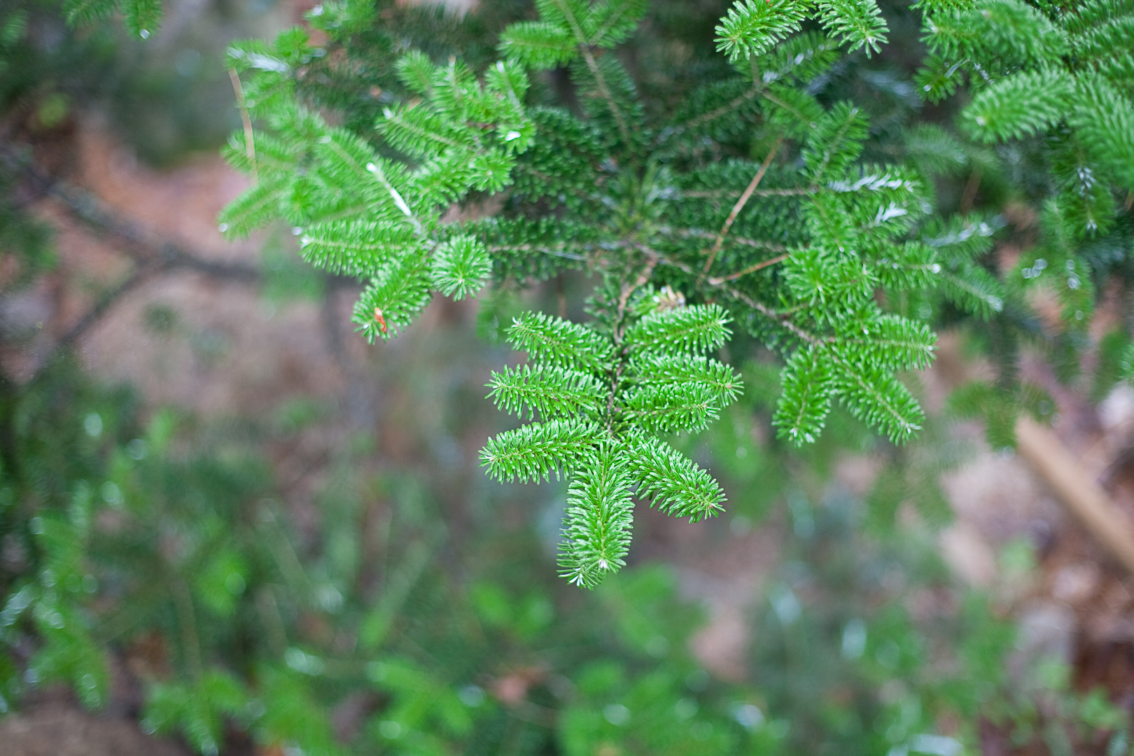 1358336067_20100711_5184.jpg