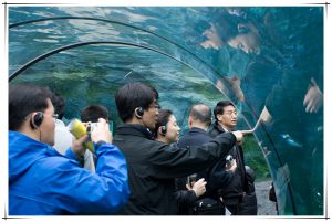 20080403_7920