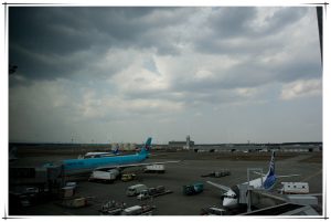 20080403_8455