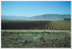 20111108_1845