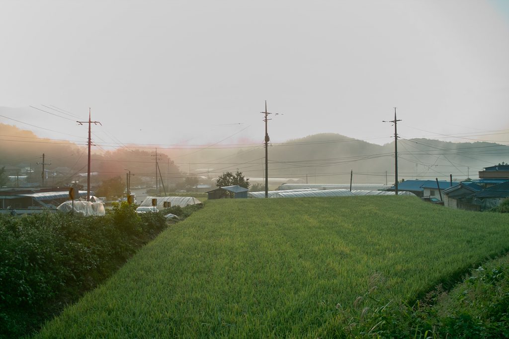 SDIM0780