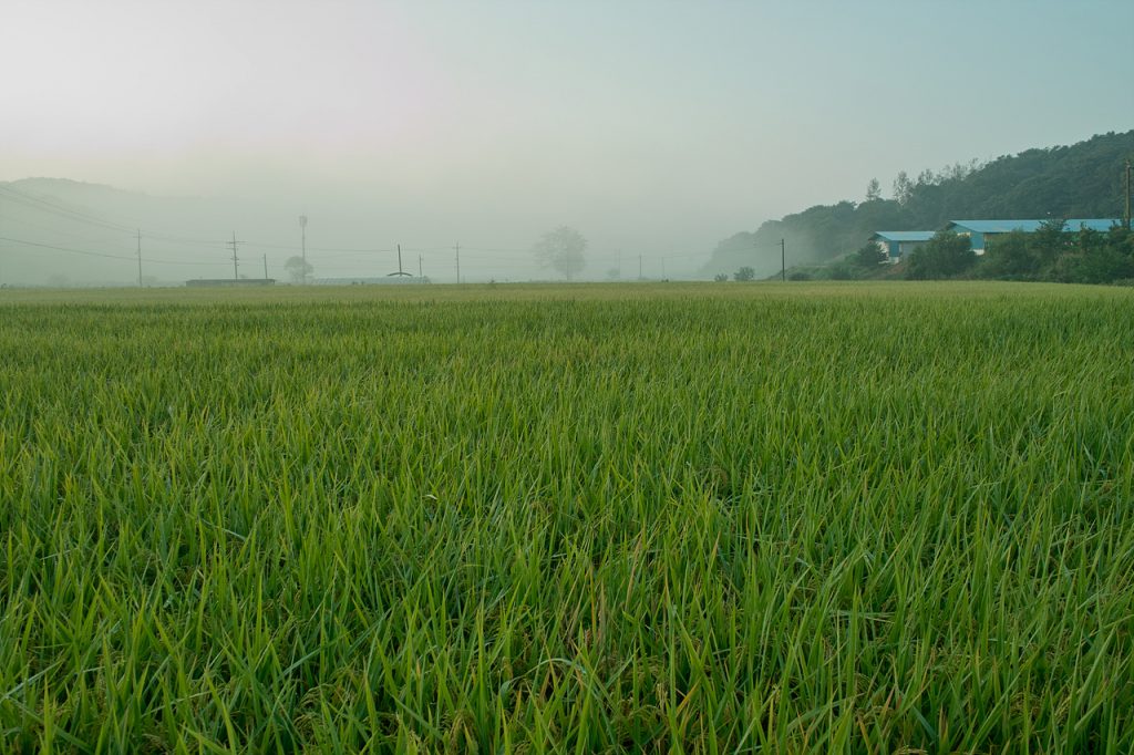 SDIM0790