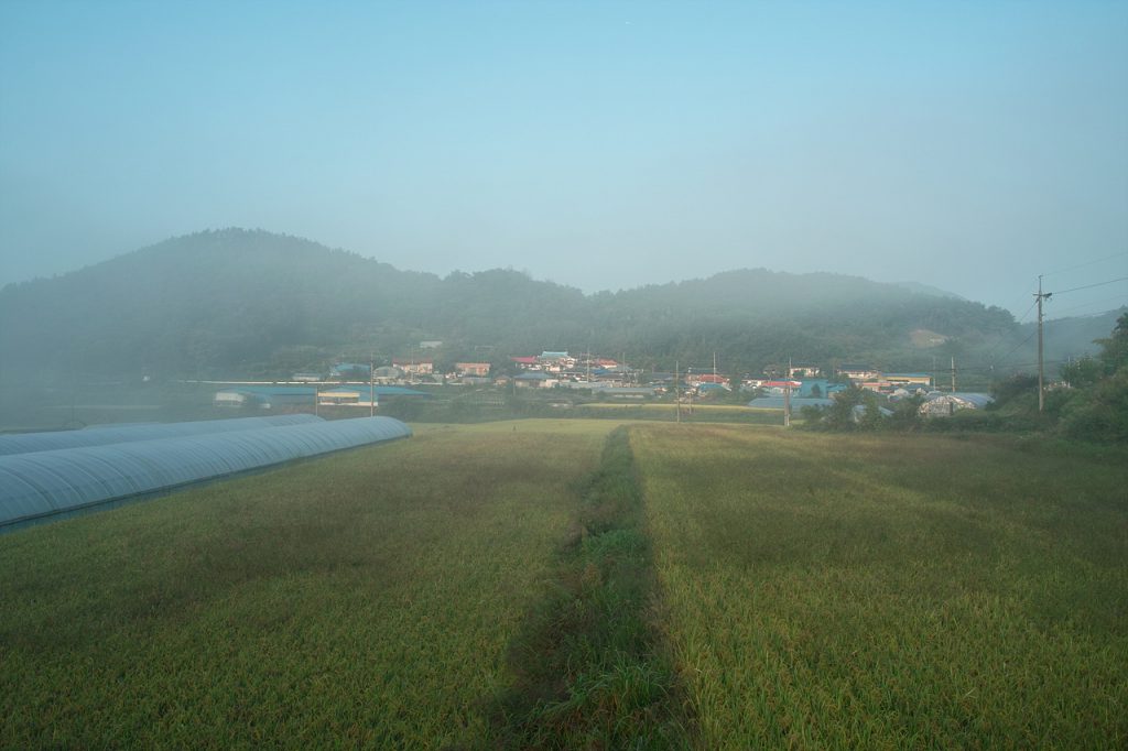 SDIM0806