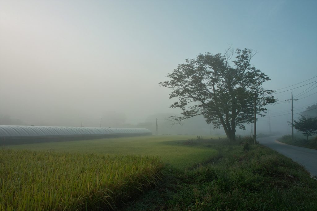 SDIM0812