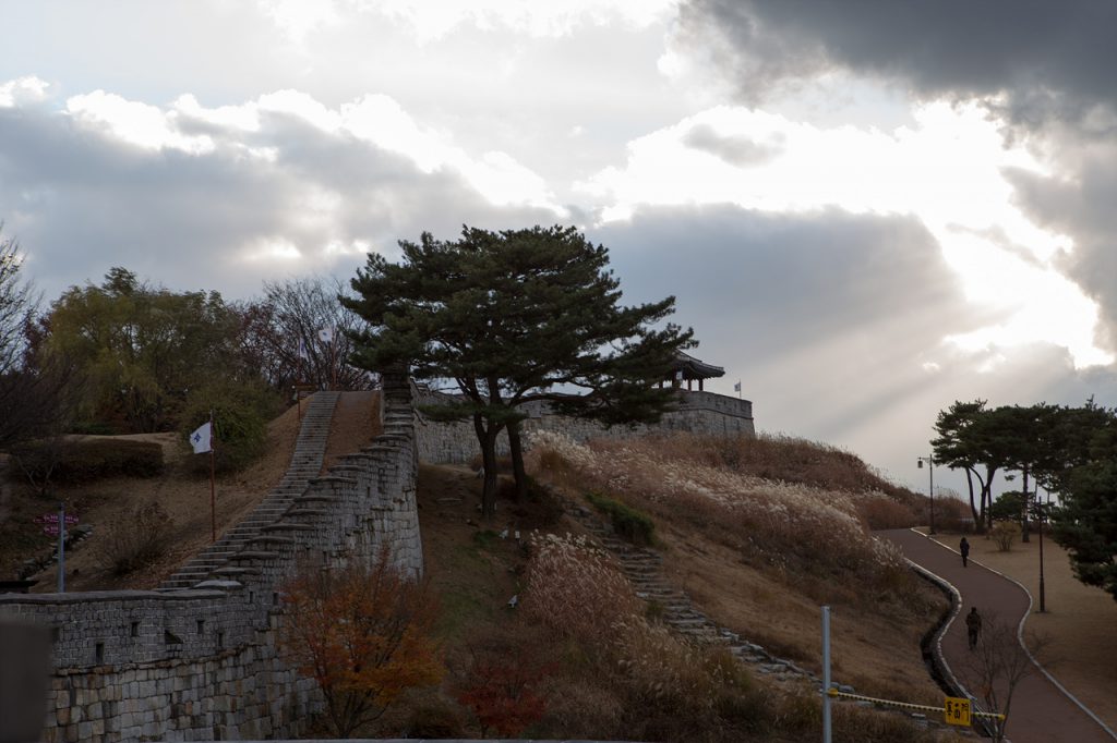_MG_0101