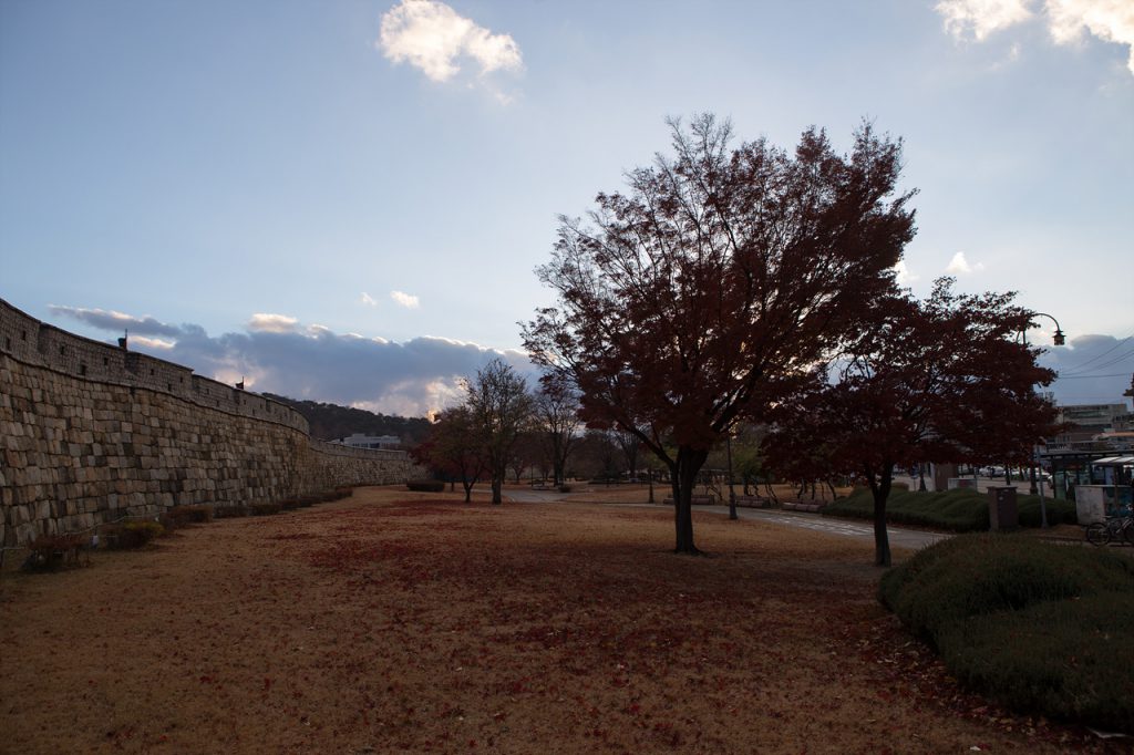 _MG_0161