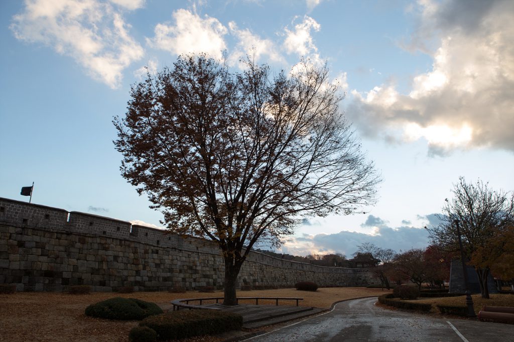 _MG_0170