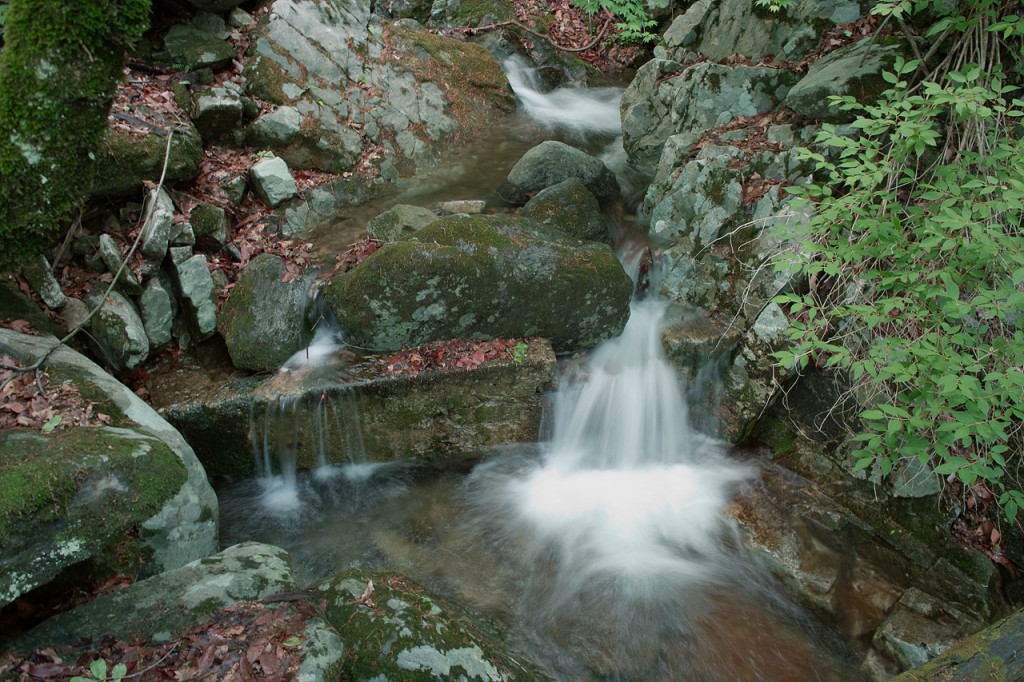 SDIM0985