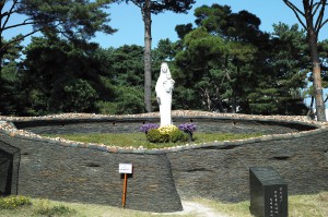 DP2M0446