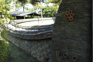 DP2M0455