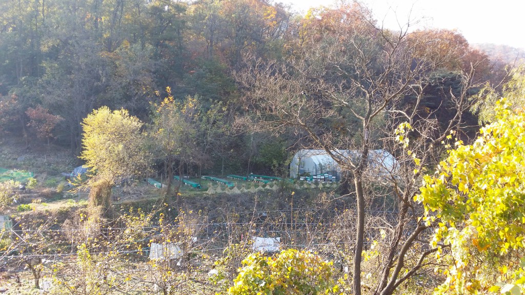 20141110_143904