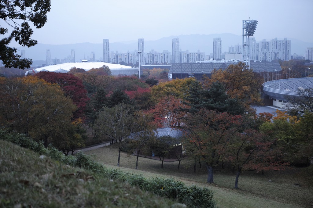 DP2M0549