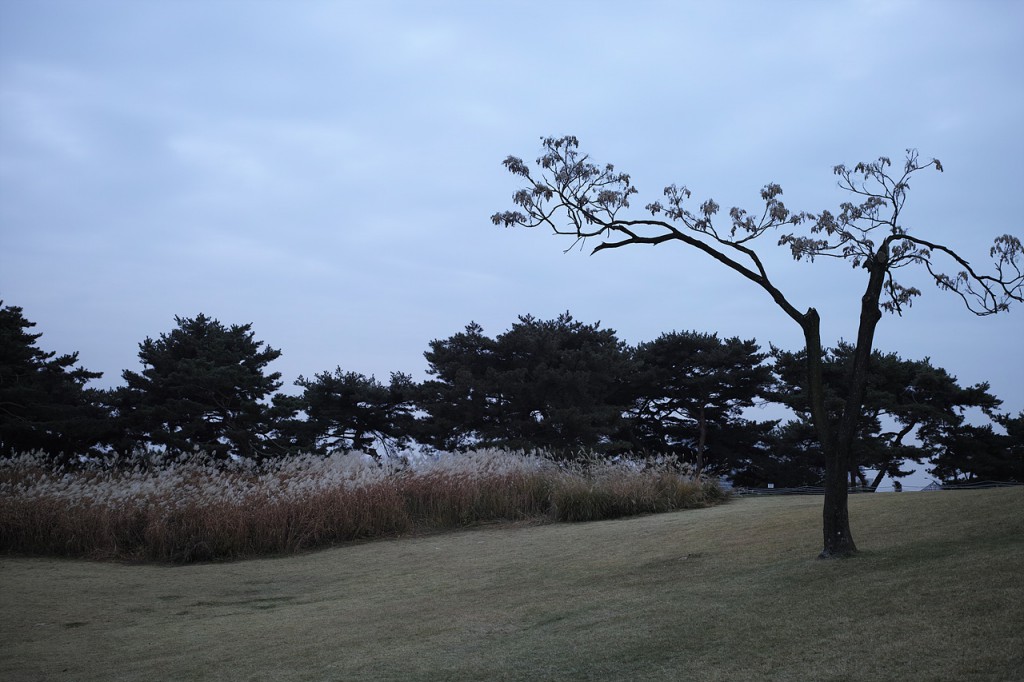 DP2M0557