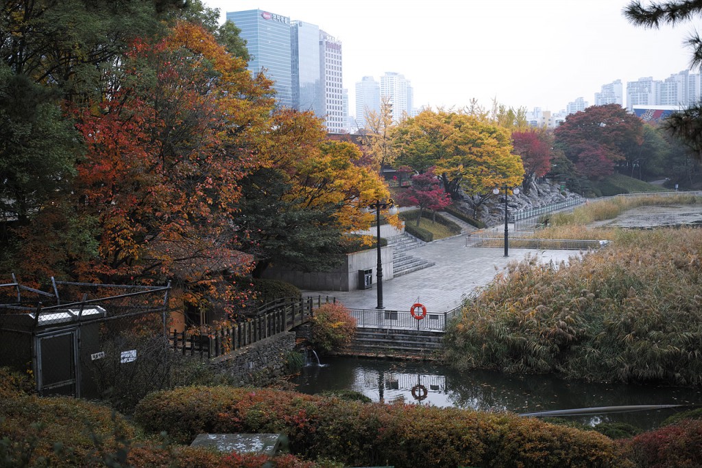 DP2M0570