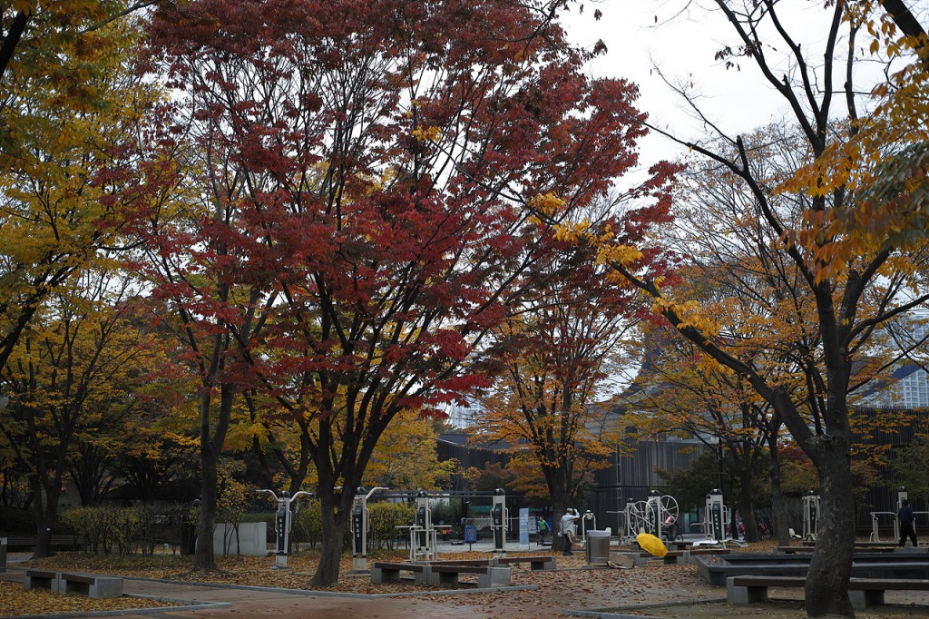 DP2M0573