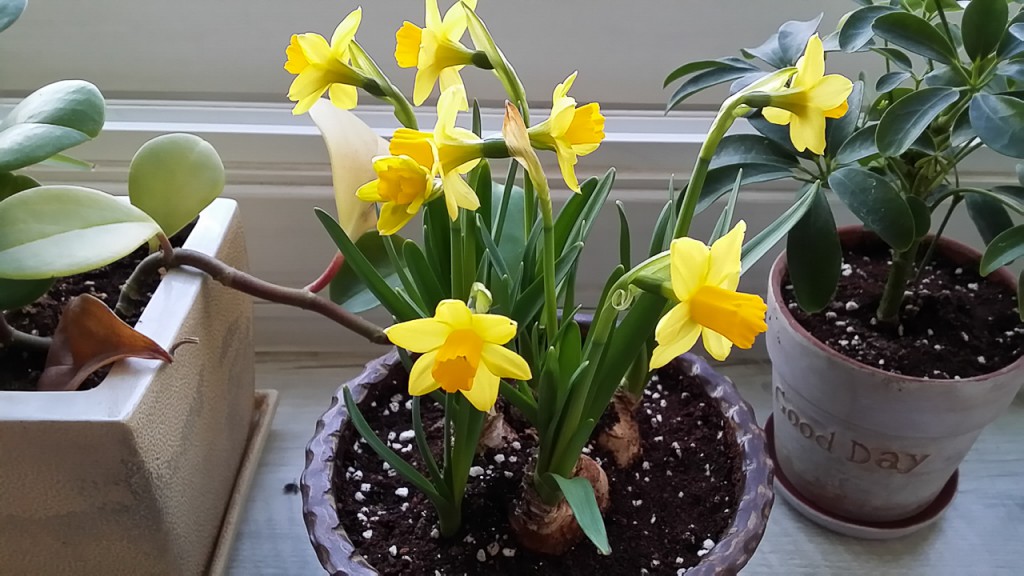 2015-03-10 07.19.36