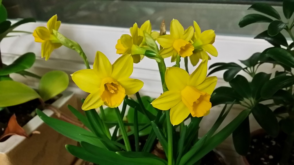 2015-03-10 23.21.32
