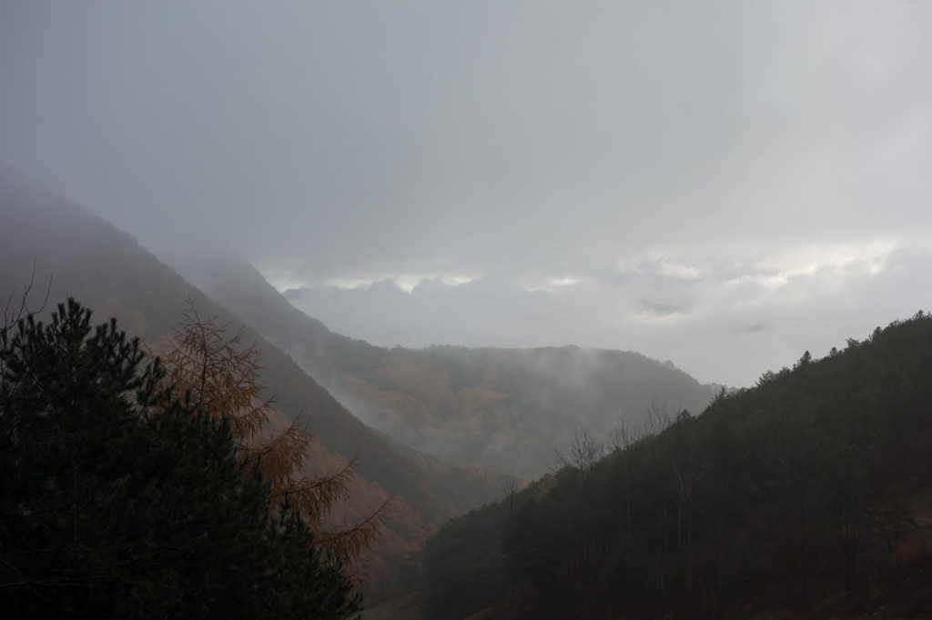 DSC05729