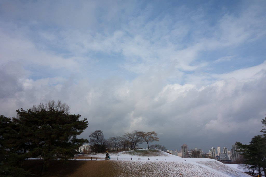 DSC05930