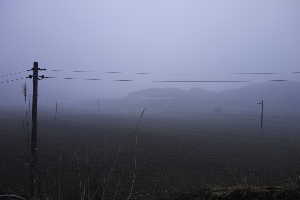 DSC06293