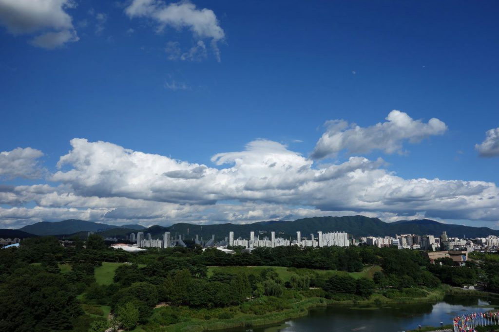 DSC07461 (1)