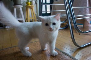 dsc08292