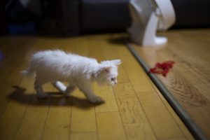 img_9263