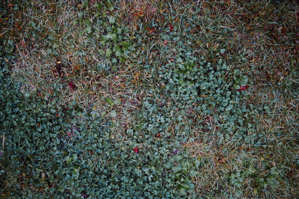   SIGMA dp1 Quattro   f/2.8 1/30sec ISO-200 19mm Auto