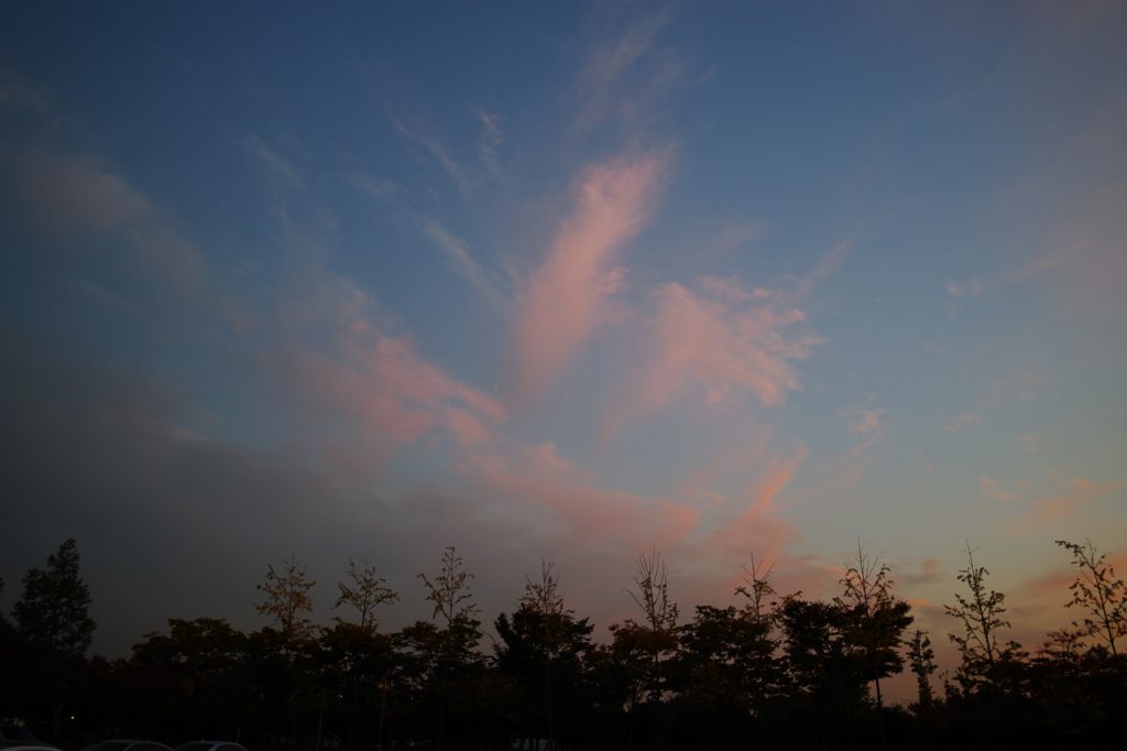   SIGMA dp1 Quattro   f/2.8 1/30sec ISO-100 19mm Auto