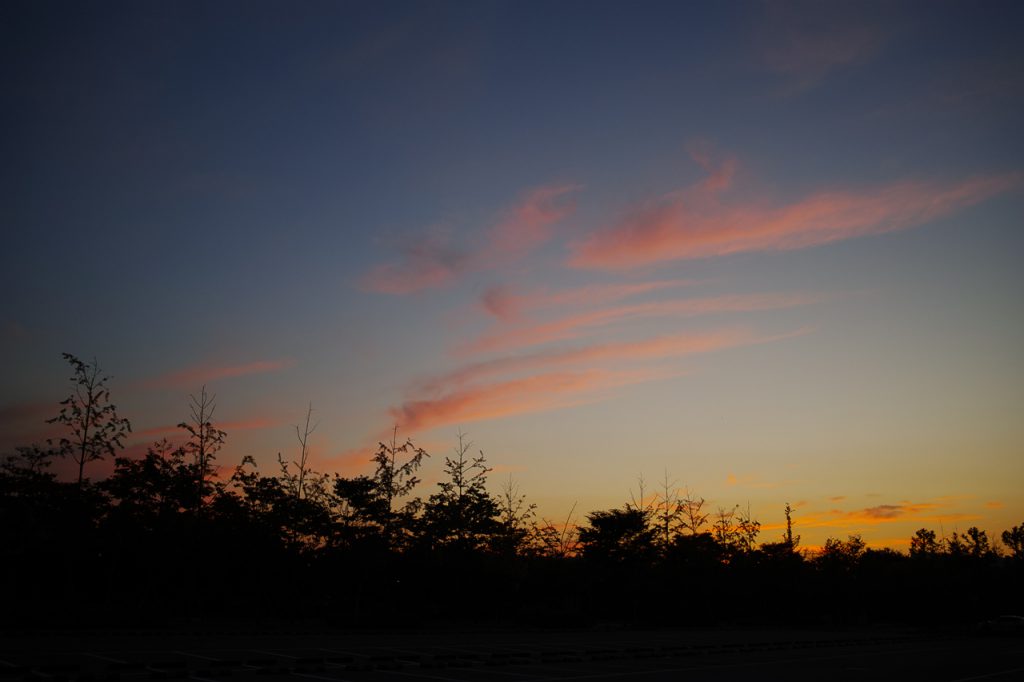   SIGMA dp1 Quattro   f/3.5 1/60sec ISO-100 19mm Auto