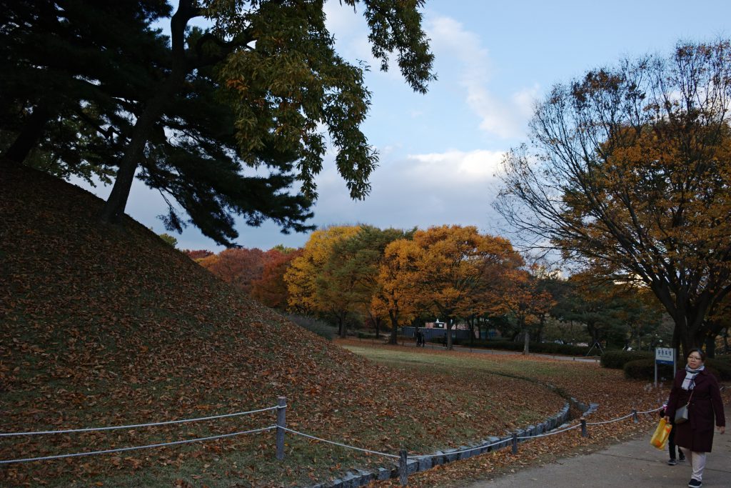 솔직이 이자리는 어떤 산책하는 아줌마가 핸드폰카메라로 사진을 찍고 있어서 나도 그자리에 서 봤다. 그자리에서 멋있어 보이긴 해도 대상이 마땅하지 않았다. 일단 보이는 대로 찍었다.